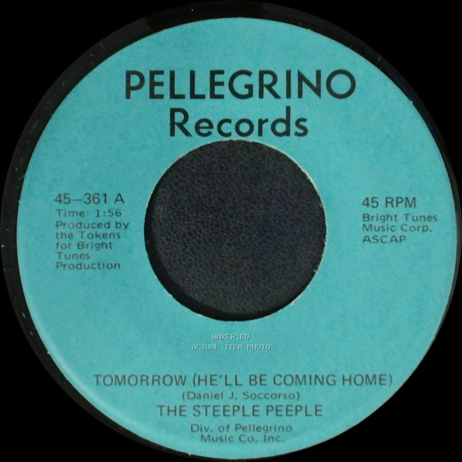 The Steeple Peeple - Fresh Air And Sunshine / Tomorrow (He'll Be Coming Home) side A