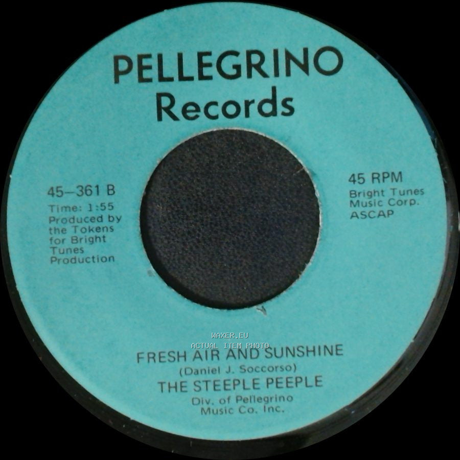 The Steeple Peeple - Fresh Air And Sunshine / Tomorrow (He'll Be Coming Home) side A