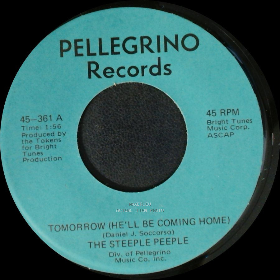 The Steeple Peeple - Fresh Air And Sunshine / Tomorrow (He'll Be Coming Home) side A