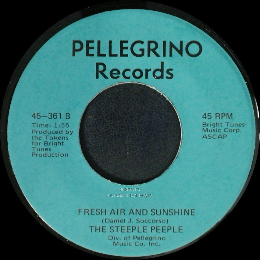 The Steeple Peeple - Fresh Air And Sunshine / Tomorrow (He'll Be Coming Home) side A