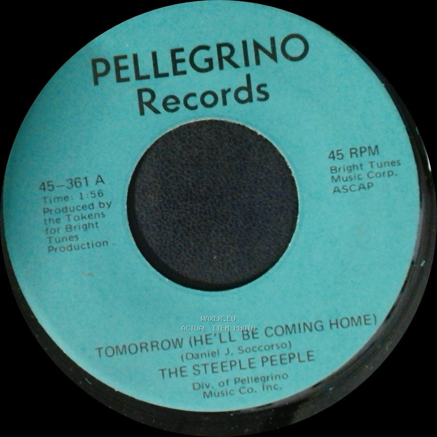 The Steeple Peeple - Fresh Air And Sunshine / Tomorrow (He'll Be Coming Home) side A