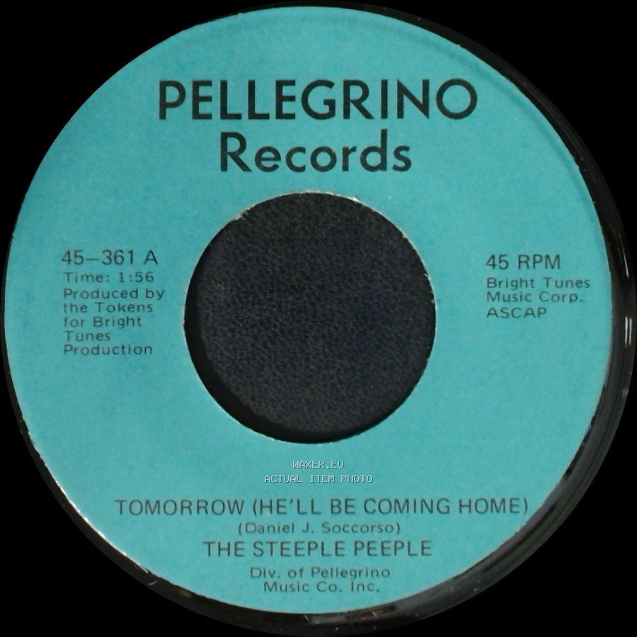 The Steeple Peeple - Fresh Air And Sunshine / Tomorrow (He'll Be Coming Home) side A