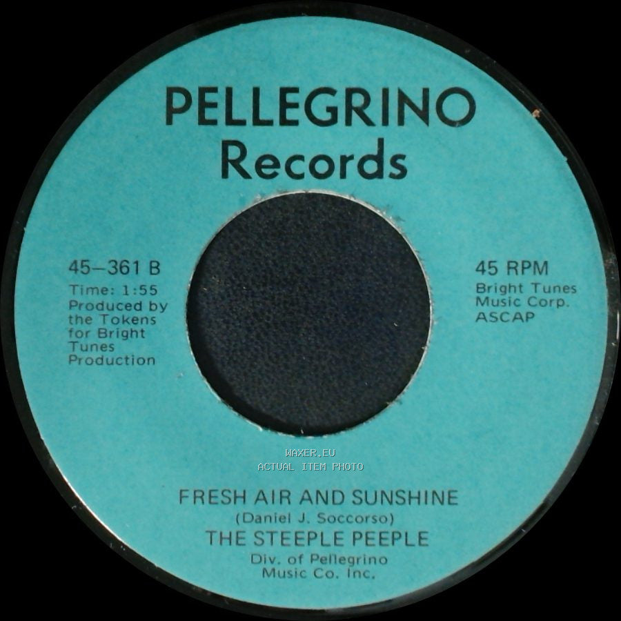 The Steeple Peeple - Fresh Air And Sunshine / Tomorrow (He'll Be Coming Home) side A