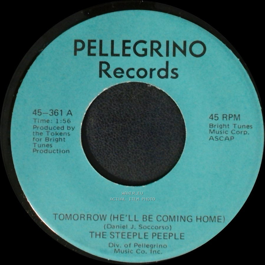 The Steeple Peeple - Fresh Air And Sunshine / Tomorrow (He'll Be Coming Home) side A