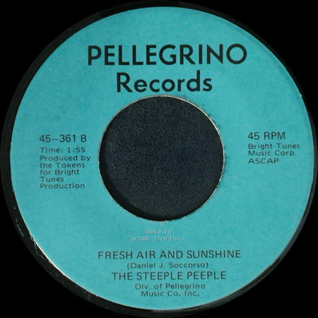 The Steeple Peeple - Fresh Air And Sunshine / Tomorrow (He'll Be Coming Home) side A