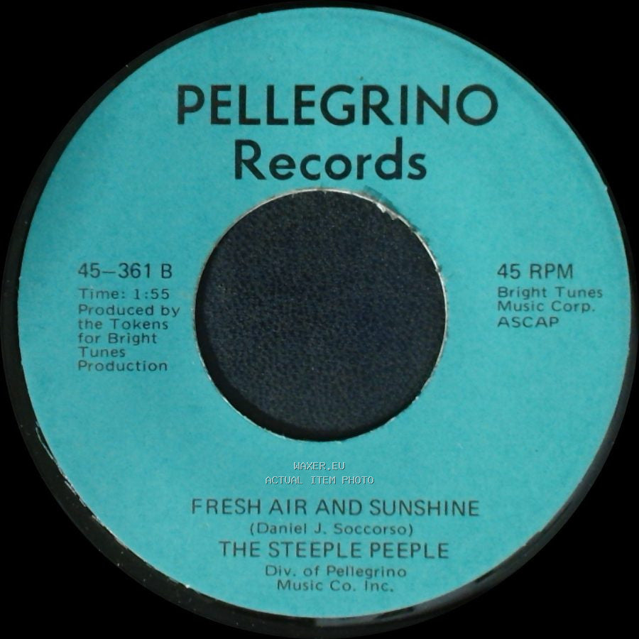 The Steeple Peeple - Fresh Air And Sunshine / Tomorrow (He'll Be Coming Home) side A