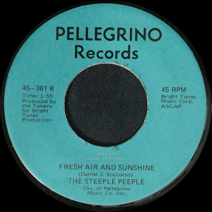 The Steeple Peeple - Fresh Air And Sunshine / Tomorrow (He'll Be Coming Home) side A