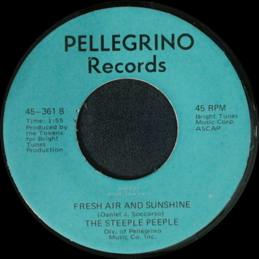 The Steeple Peeple - Fresh Air And Sunshine / Tomorrow (He'll Be Coming Home) side A