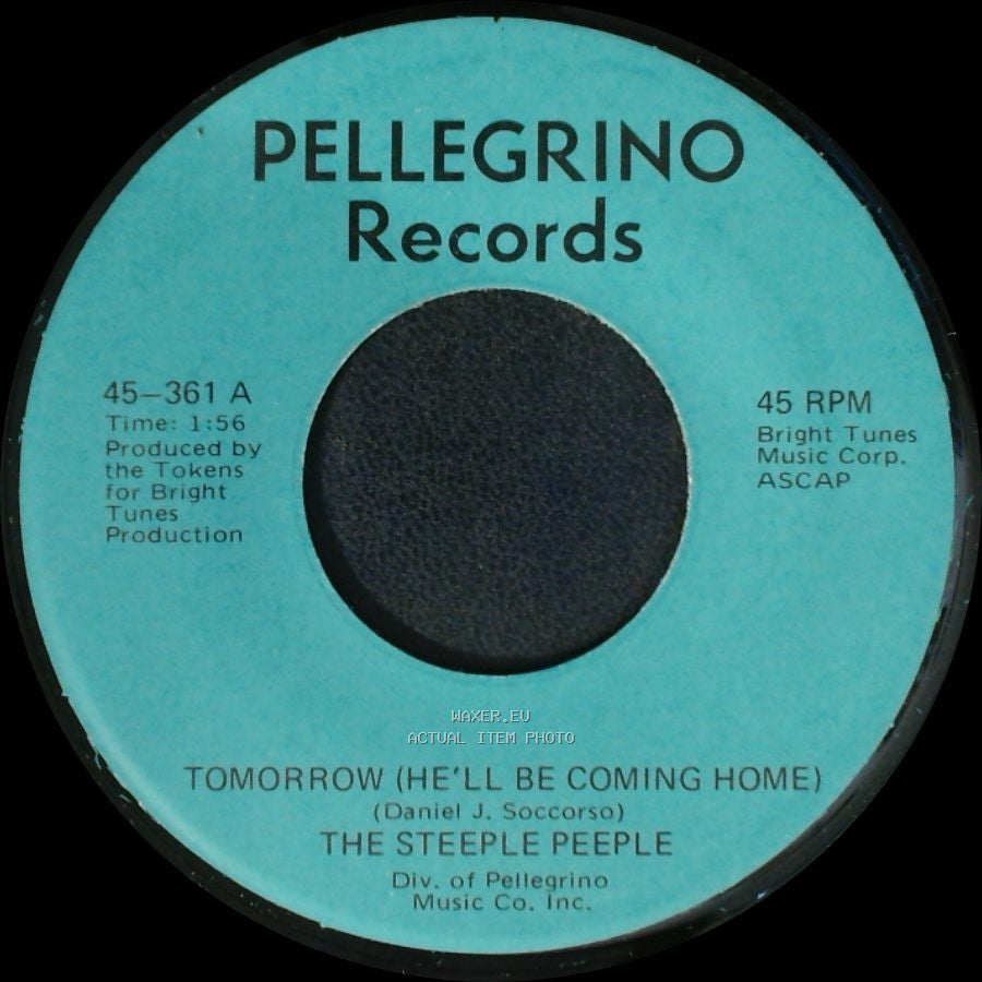 The Steeple Peeple - Fresh Air And Sunshine / Tomorrow (He'll Be Coming Home) side A