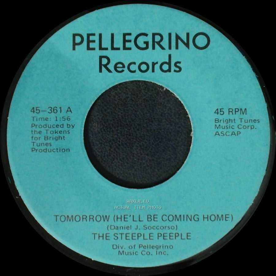 The Steeple Peeple - Fresh Air And Sunshine / Tomorrow (He'll Be Coming Home) side A