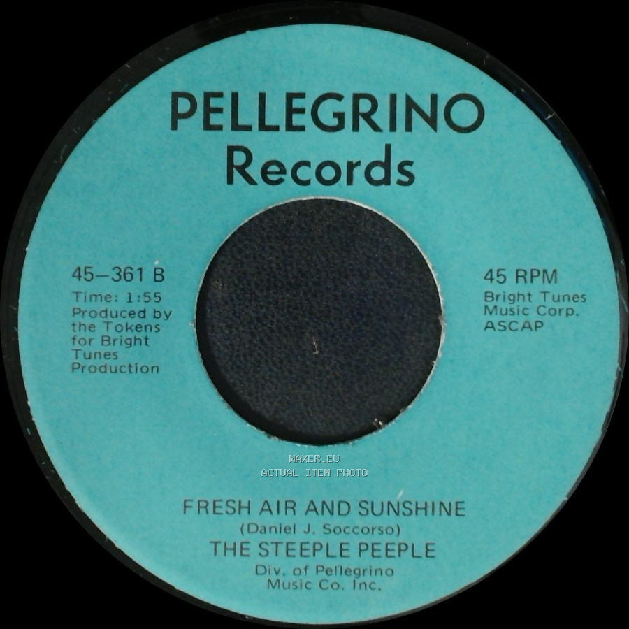 The Steeple Peeple - Fresh Air And Sunshine / Tomorrow (He'll Be Coming Home) side B