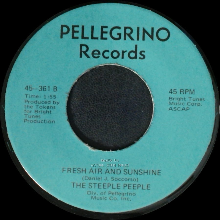 The Steeple Peeple - Fresh Air And Sunshine / Tomorrow (He'll Be Coming Home) side A