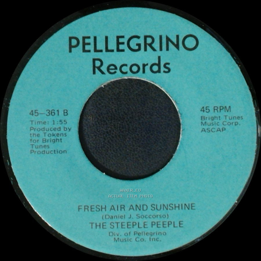 The Steeple Peeple - Fresh Air And Sunshine / Tomorrow (He'll Be Coming Home) side A