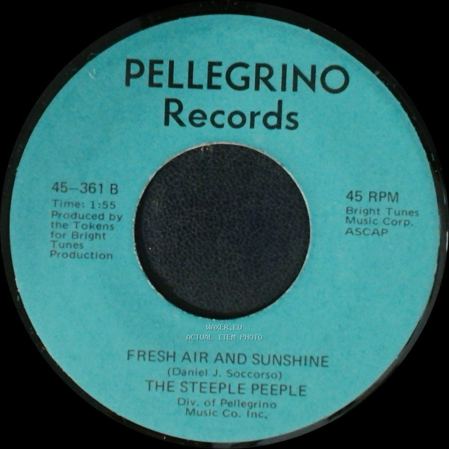 The Steeple Peeple - Fresh Air And Sunshine / Tomorrow (He'll Be Coming Home) side A