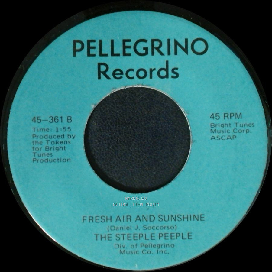 The Steeple Peeple - Fresh Air And Sunshine / Tomorrow (He'll Be Coming Home) side A