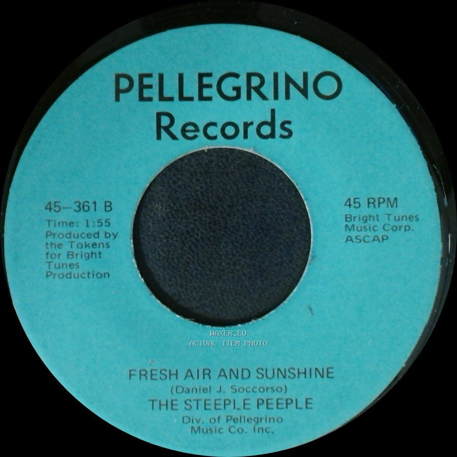 The Steeple Peeple - Fresh Air And Sunshine / Tomorrow (He'll Be Coming Home) side A