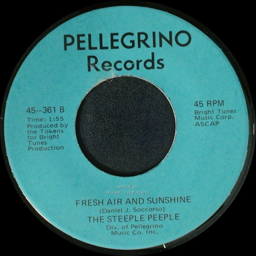 The Steeple Peeple - Fresh Air And Sunshine / Tomorrow (He'll Be Coming Home) side A