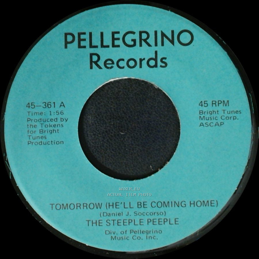 The Steeple Peeple - Fresh Air And Sunshine / Tomorrow (He'll Be Coming Home) side A