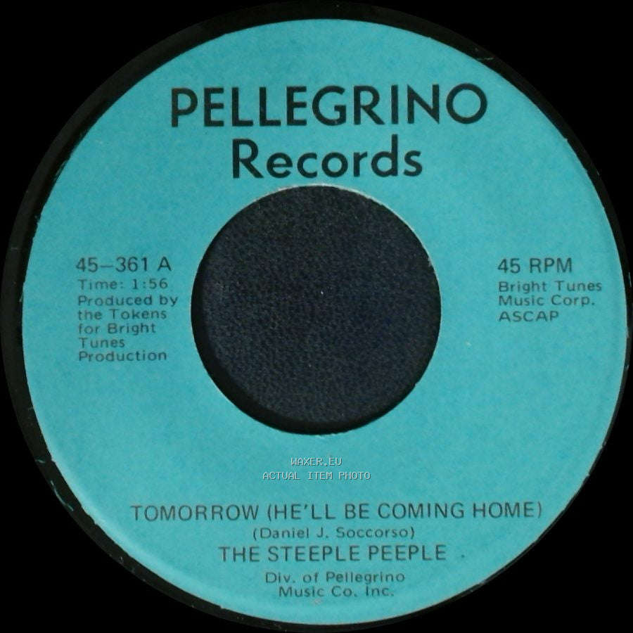 The Steeple Peeple - Fresh Air And Sunshine / Tomorrow (He'll Be Coming Home) side A