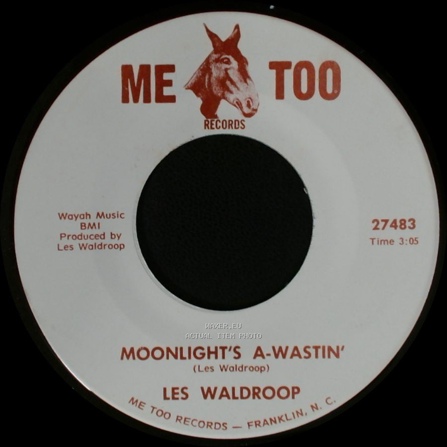 Les Waldroop - Watergate Bugs / Moonlight's A-Wastin' side B