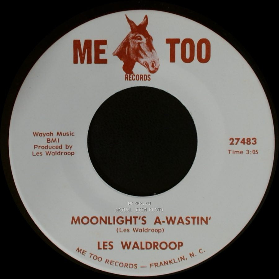 Les Waldroop - Watergate Bugs / Moonlight's A-Wastin' side A