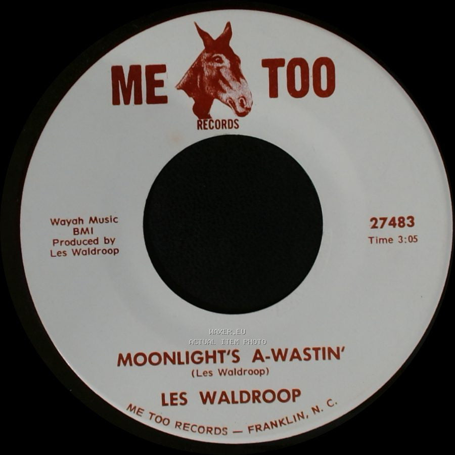Les Waldroop - Watergate Bugs / Moonlight's A-Wastin' side A