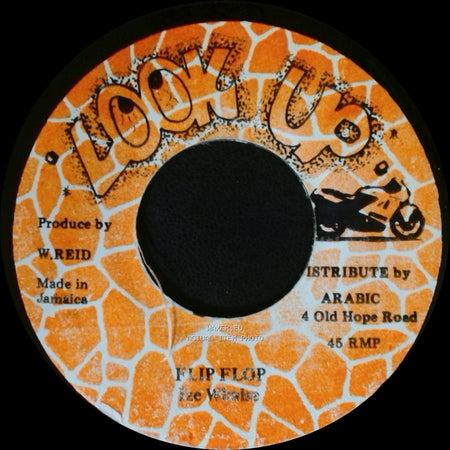 Unknown Artist - Flip Flop / Unknown Title B side A