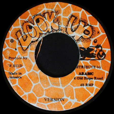 Unknown Artist - Flip Flop / Unknown Title B side B