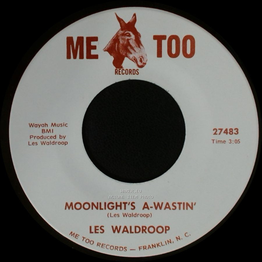 Les Waldroop - Watergate Bugs / Moonlight's A-Wastin' side B