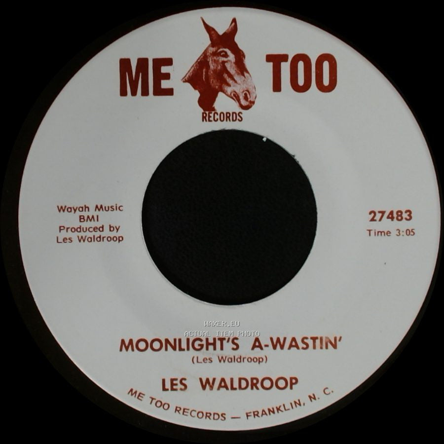 Les Waldroop - Watergate Bugs / Moonlight's A-Wastin' side B