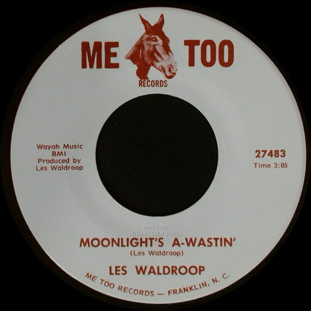 Les Waldroop - Watergate Bugs / Moonlight's A-Wastin' side B