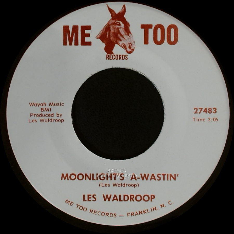 Les Waldroop - Watergate Bugs / Moonlight's A-Wastin' side A