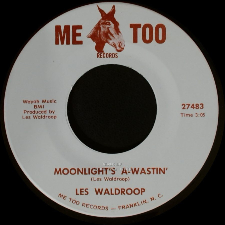 Les Waldroop - Watergate Bugs / Moonlight's A-Wastin' side B