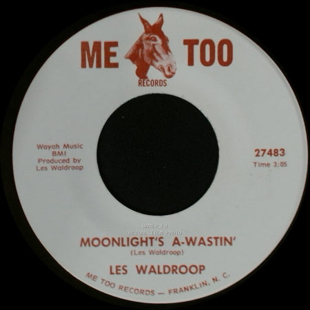 Les Waldroop - Watergate Bugs / Moonlight's A-Wastin' side B