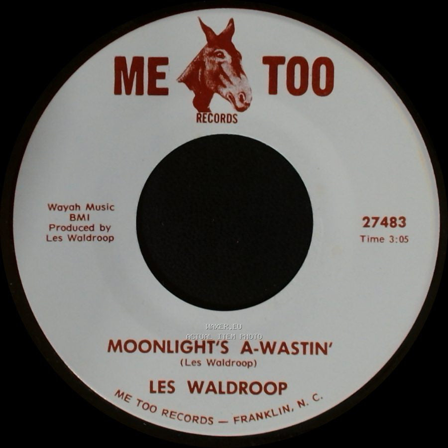 Les Waldroop - Watergate Bugs / Moonlight's A-Wastin' side A