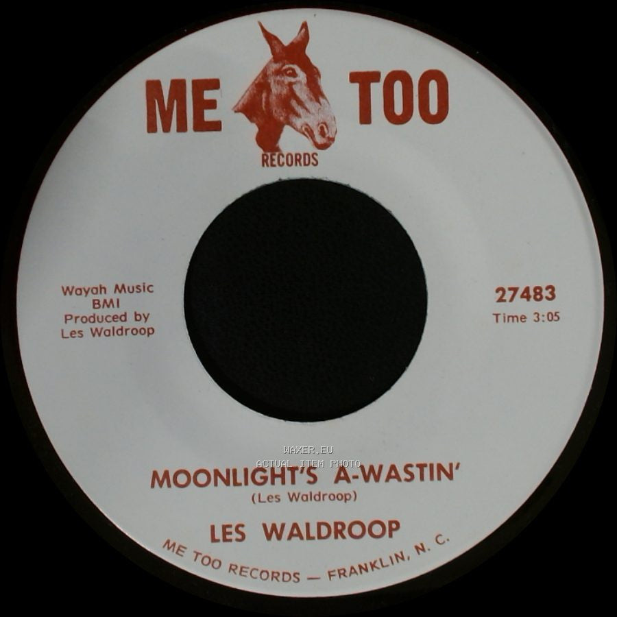 Les Waldroop - Watergate Bugs / Moonlight's A-Wastin' side B