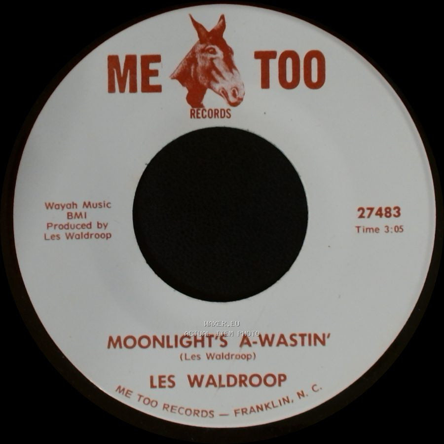 Les Waldroop - Watergate Bugs / Moonlight's A-Wastin' side A