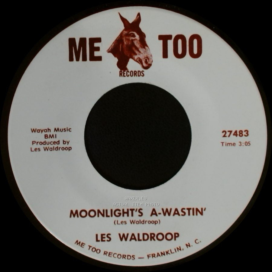 Les Waldroop - Watergate Bugs / Moonlight's A-Wastin' side B