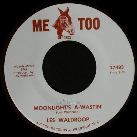 Les Waldroop - Watergate Bugs / Moonlight's A-Wastin' side B