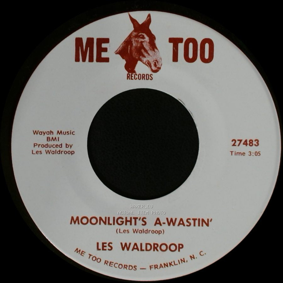 Les Waldroop - Watergate Bugs / Moonlight's A-Wastin' side A