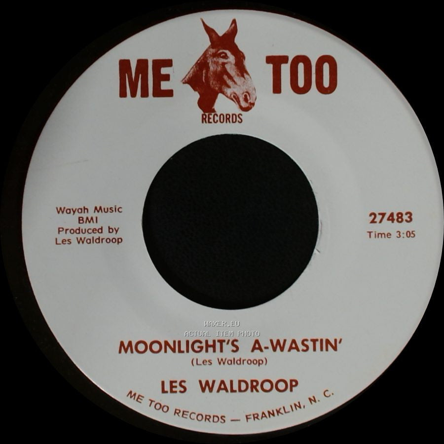 Les Waldroop - Watergate Bugs / Moonlight's A-Wastin' side A