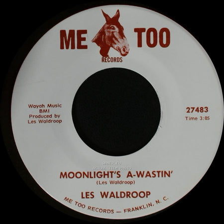 Les Waldroop - Watergate Bugs / Moonlight's A-Wastin' side A