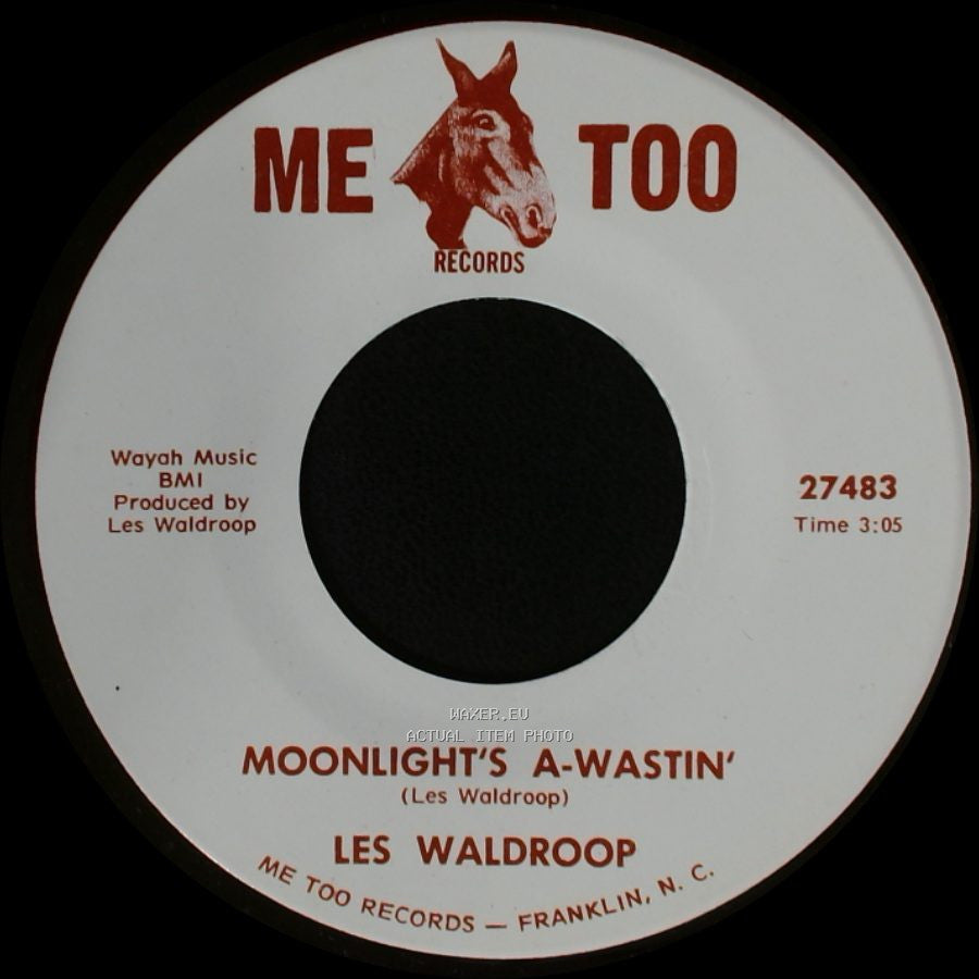 Les Waldroop - Watergate Bugs / Moonlight's A-Wastin' side A