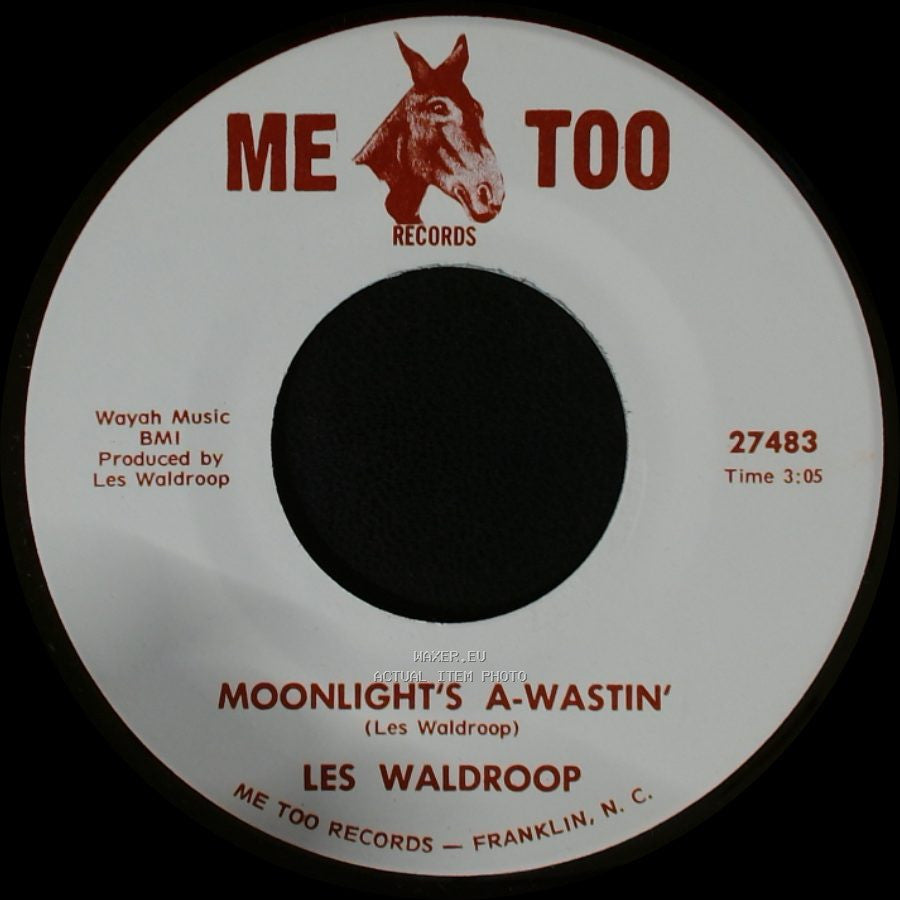 Les Waldroop - Watergate Bugs / Moonlight's A-Wastin' side B