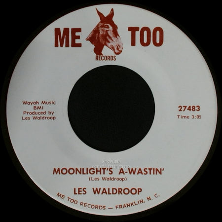 Les Waldroop - Watergate Bugs / Moonlight's A-Wastin' side B