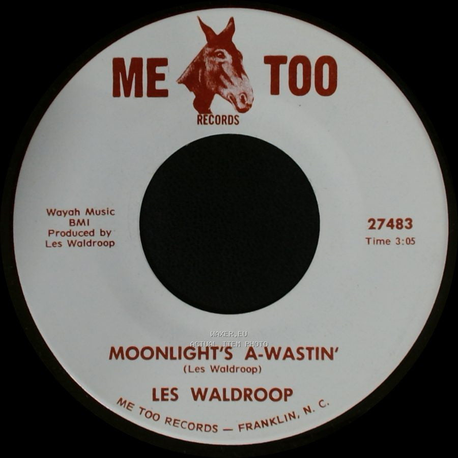 Les Waldroop - Watergate Bugs / Moonlight's A-Wastin' side B