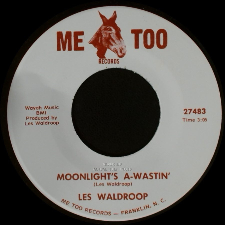 Les Waldroop - Watergate Bugs / Moonlight's A-Wastin' side B