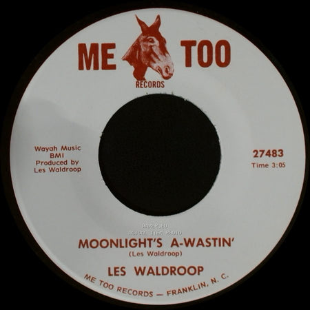 Les Waldroop - Watergate Bugs / Moonlight's A-Wastin' side B