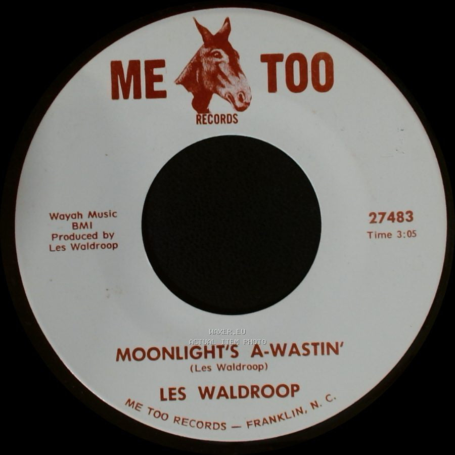 Les Waldroop - Watergate Bugs / Moonlight's A-Wastin' side B