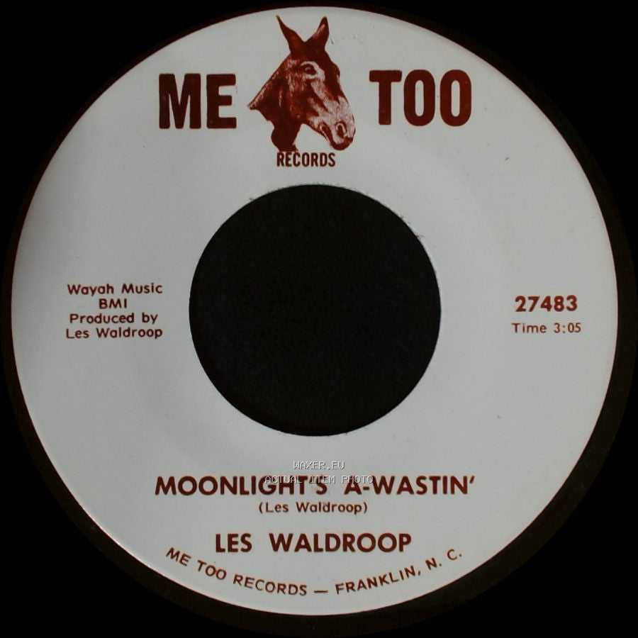 Les Waldroop - Watergate Bugs / Moonlight's A-Wastin' side A